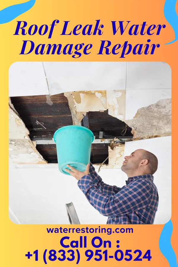 Roof Leak Water Damage Repair in Jupiter Farms, FL